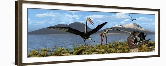 Gigantic Quetzalcoatlus Pterosaurs-null-Framed Premium Giclee Print
