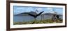 Gigantic Quetzalcoatlus Pterosaurs-null-Framed Art Print