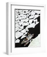 Gigantic Shards of Ice Drift Near a Pair of Coast Guard Cutters-null-Framed Photographic Print