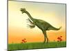 Gigantoraptor Dinosaur on Green Grass by Sunset-null-Mounted Art Print