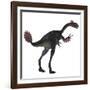 Gigantoraptor Dinosaur on White Background-Stocktrek Images-Framed Art Print