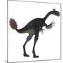 Gigantoraptor Dinosaur on White Background-Stocktrek Images-Mounted Art Print