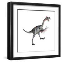 Gigantoraptor Dinosaur, White Background-null-Framed Art Print