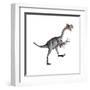 Gigantoraptor Dinosaur, White Background-null-Framed Art Print