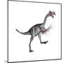 Gigantoraptor Dinosaur, White Background-null-Mounted Art Print