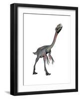 Gigantoraptor Dinosaur, White Background-null-Framed Art Print