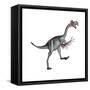 Gigantoraptor Dinosaur, White Background-null-Framed Stretched Canvas