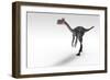 Gigantoraptor Dinosaur, White Background-null-Framed Art Print