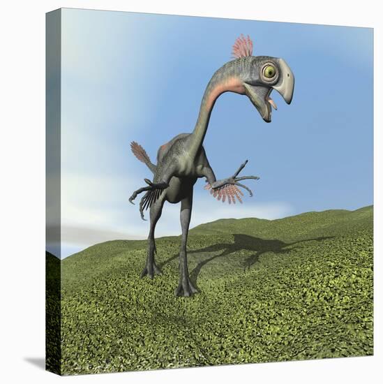 Gigantoraptor Dinosaur-null-Stretched Canvas