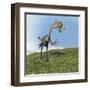 Gigantoraptor Dinosaur-null-Framed Art Print