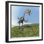 Gigantoraptor Dinosaur-null-Framed Art Print