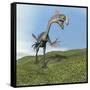 Gigantoraptor Dinosaur-null-Framed Stretched Canvas