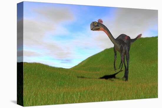 Gigantoraptor in a Grassy Field-null-Stretched Canvas