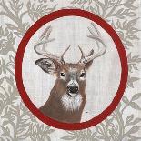Deer Portrait-Gigi Begin-Giclee Print