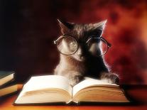 Gray Cat With Glasses Reading A Book-gila-Mounted Photographic Print