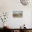 Gila Monster and Cacti-null-Stretched Canvas displayed on a wall