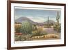 Gila Monster and Cacti-null-Framed Premium Giclee Print