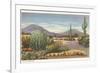 Gila Monster and Cacti-null-Framed Art Print