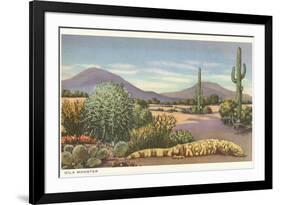 Gila Monster and Cacti-null-Framed Art Print