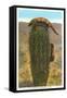 Gila Monsters on Barrel Cactus-null-Framed Stretched Canvas