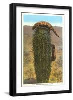 Gila Monsters on Barrel Cactus-null-Framed Art Print