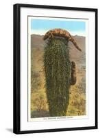 Gila Monsters on Barrel Cactus-null-Framed Art Print