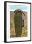 Gila Monsters on Barrel Cactus-null-Framed Art Print