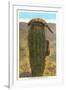 Gila Monsters on Barrel Cactus-null-Framed Art Print