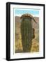 Gila Monsters on Barrel Cactus-null-Framed Premium Giclee Print