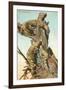 Gila Monsters-null-Framed Art Print