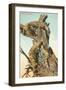 Gila Monsters-null-Framed Premium Giclee Print