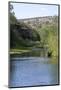 Gila River-nytumbleweeds-Mounted Photographic Print