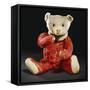 Gilbert, a Rare Steiff Dolly Bear with a Red Mohair Body and a White Face-Steiff-Framed Stretched Canvas