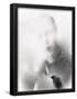 Essential Black