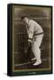 Gilbert L Jessop Cricketer-null-Framed Stretched Canvas