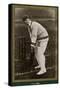 Gilbert L Jessop Cricketer-null-Stretched Canvas