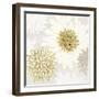 Gilded Aesthetic Bloom-Bella Dos Santos-Framed Art Print