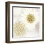 Gilded Aesthetic Bloom-Bella Dos Santos-Framed Art Print