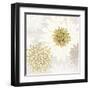 Gilded Aesthetic Bloom-Bella Dos Santos-Framed Art Print