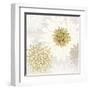 Gilded Aesthetic Bloom-Bella Dos Santos-Framed Art Print