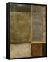 Gilded Age II-Megan Meagher-Framed Stretched Canvas