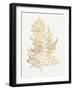 Gilded Algae IV-Jennifer Goldberger-Framed Art Print