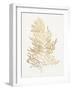 Gilded Algae IV-Jennifer Goldberger-Framed Art Print