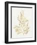 Gilded Algae VIII-Jennifer Goldberger-Framed Art Print