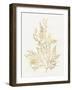 Gilded Algae VIII-Jennifer Goldberger-Framed Art Print