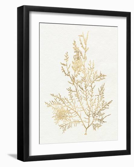 Gilded Algae VIII-Jennifer Goldberger-Framed Art Print