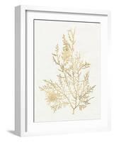 Gilded Algae VIII-Jennifer Goldberger-Framed Art Print