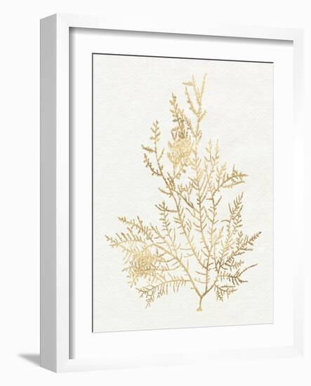 Gilded Algae VIII-Jennifer Goldberger-Framed Art Print