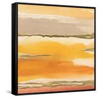 Gilded Amber II-Chris Paschke-Framed Stretched Canvas