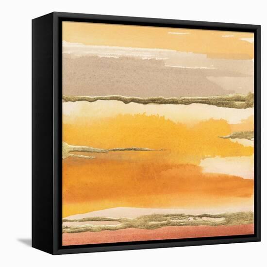 Gilded Amber II-Chris Paschke-Framed Stretched Canvas